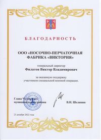 Благодарность за поддержку участников СВО 2022 (Чудовский муниципальный район)